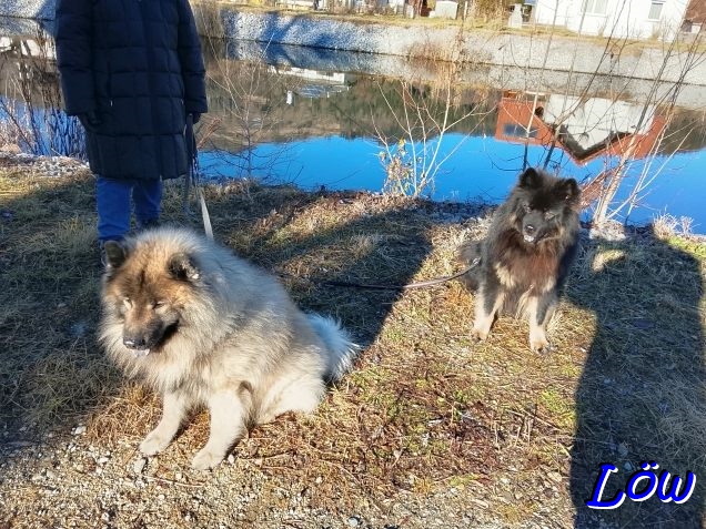 28.12.2025 - Am Kanal